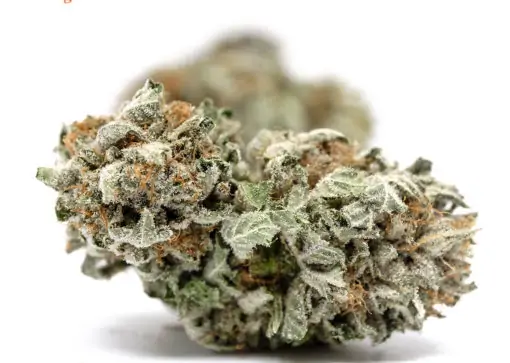 California Orange (AA)