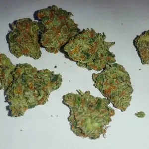 OG Ghost Train Haze