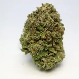 Purple Skunk