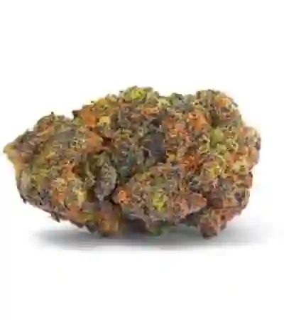 How to Select the Best Gelato Cannabis in Australia