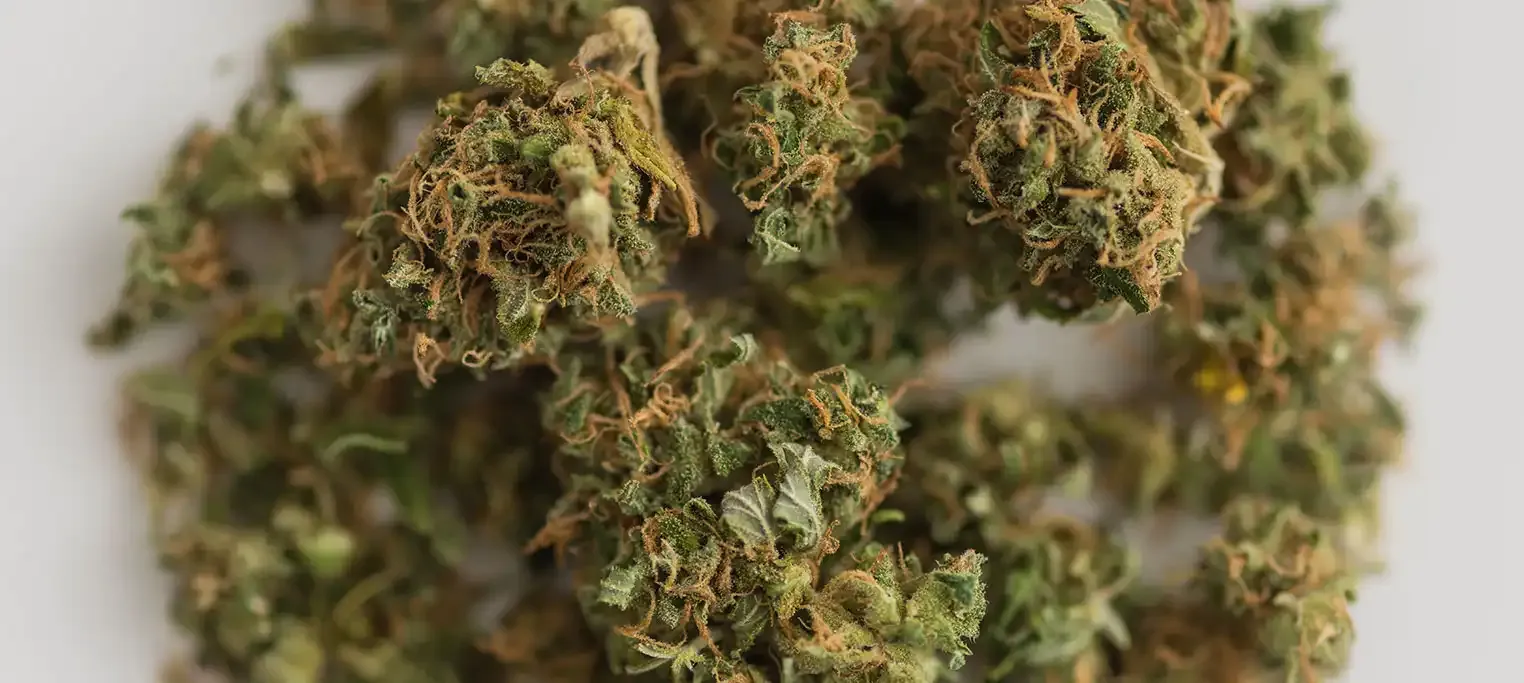 Order Cannabis Online in Australia