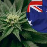 Top Cannabis Trends in Australia 2025