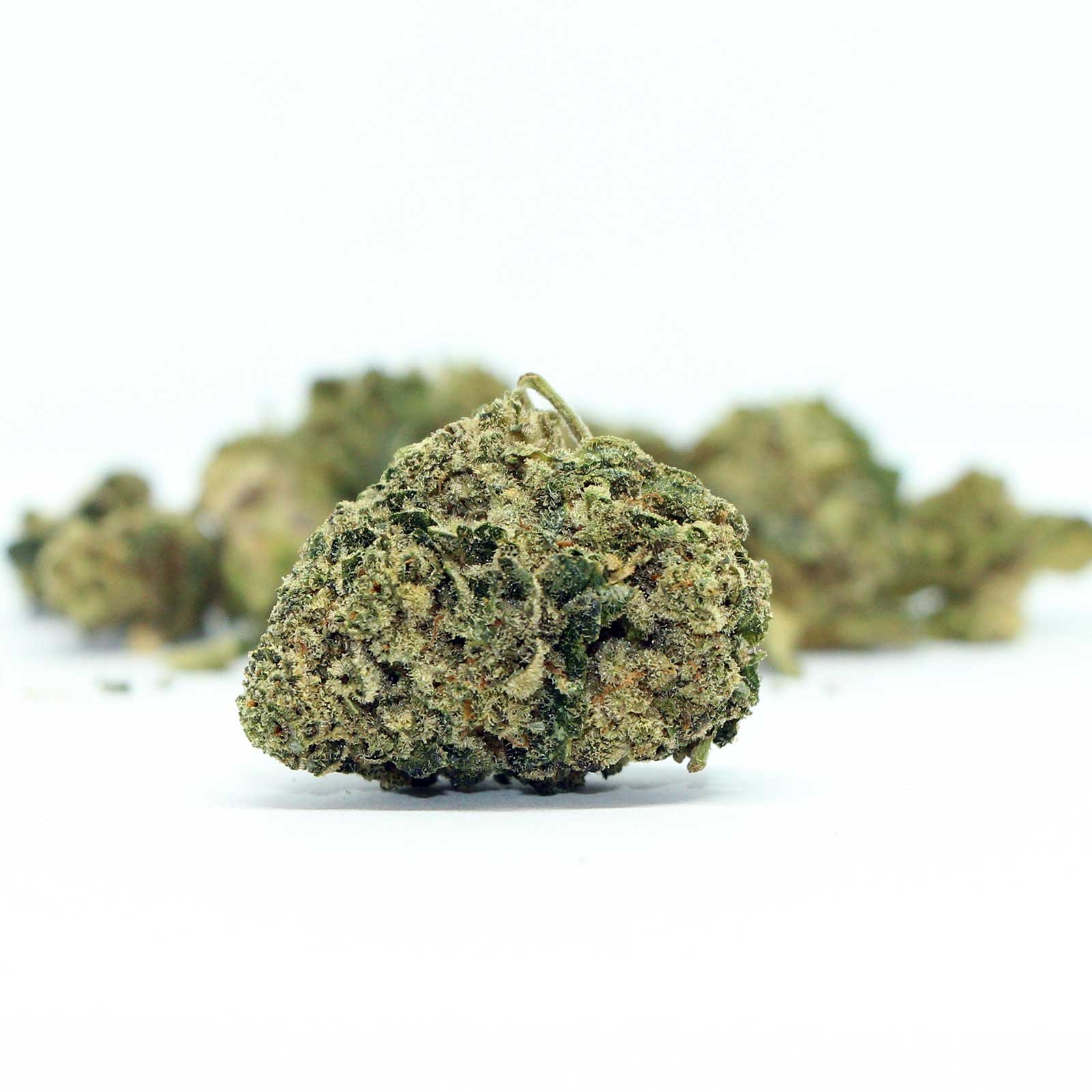 Slurri Crasher Strain Review 2025: Effects, Flavor, Medicinal Benefits & Buy Guide