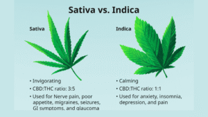 What Is Sativa Cannabis