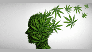 Sativa Cannabis and Mental Health