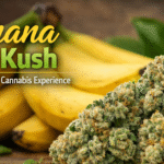 Banana OG Kush strain