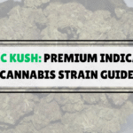 BC Kush Strain Guide