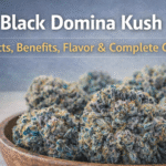 Black Domina Kush Guide