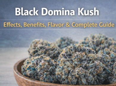 Black Domina Kush Guide