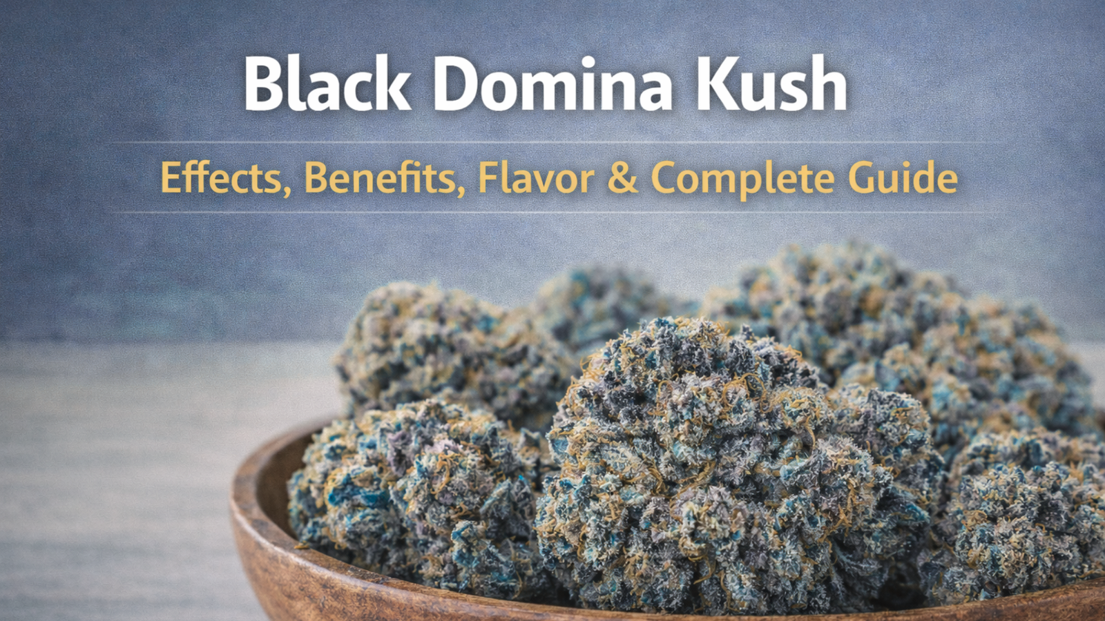 Black Domina Kush Guide