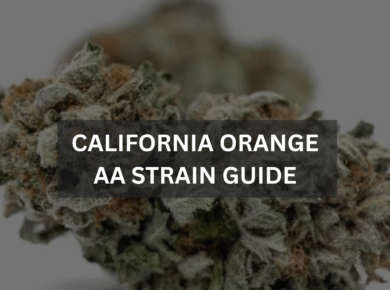 California Orange AA