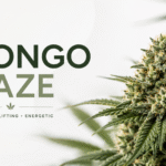 Congo Haze strain